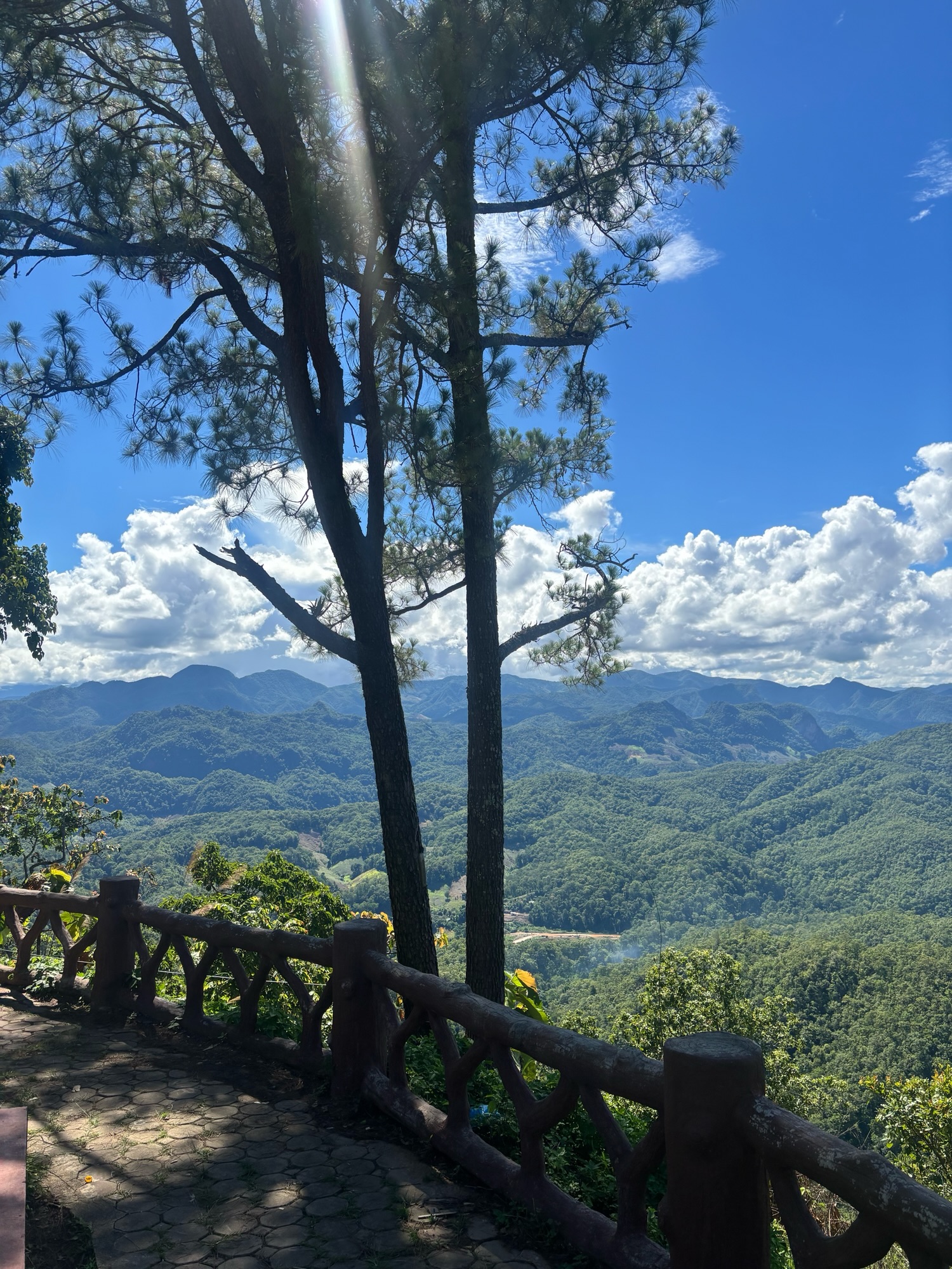 Von Thailands Norden bis Süden: Zwischen Rollerfahrten und Kaffeepausen mit Ausblick
